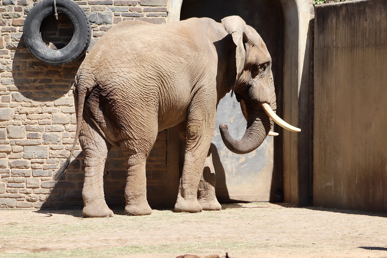 Zoo Wuppertal Wuppertal